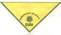 "PA&Ntilde;OLETA DE GUIA"